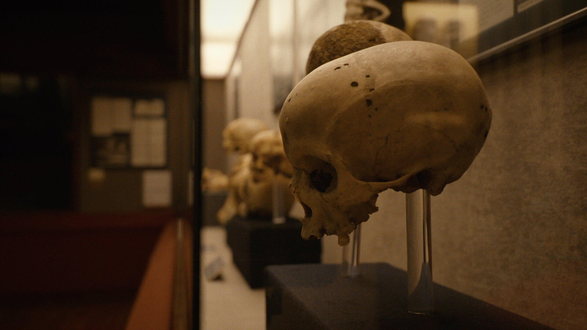 Museo delle Canarie, Gran Canaria