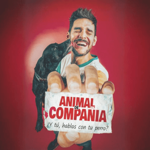 animalcompania