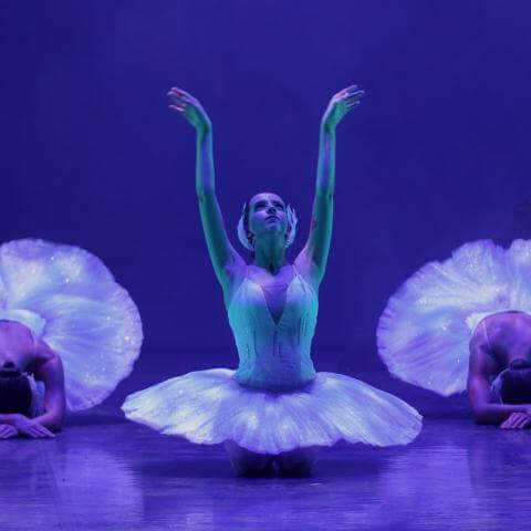 lago_de_los_cisnes_2025_13_10