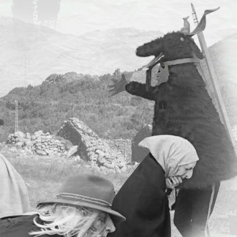 pinata-de-teno-alto-2026