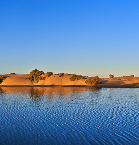 Excursión a la playa de Maspalomas, al sur de la isla - listado