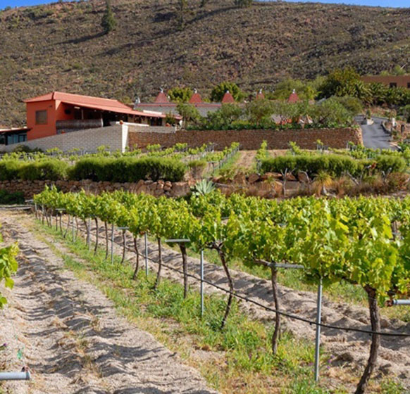 Bodegas de Frontos