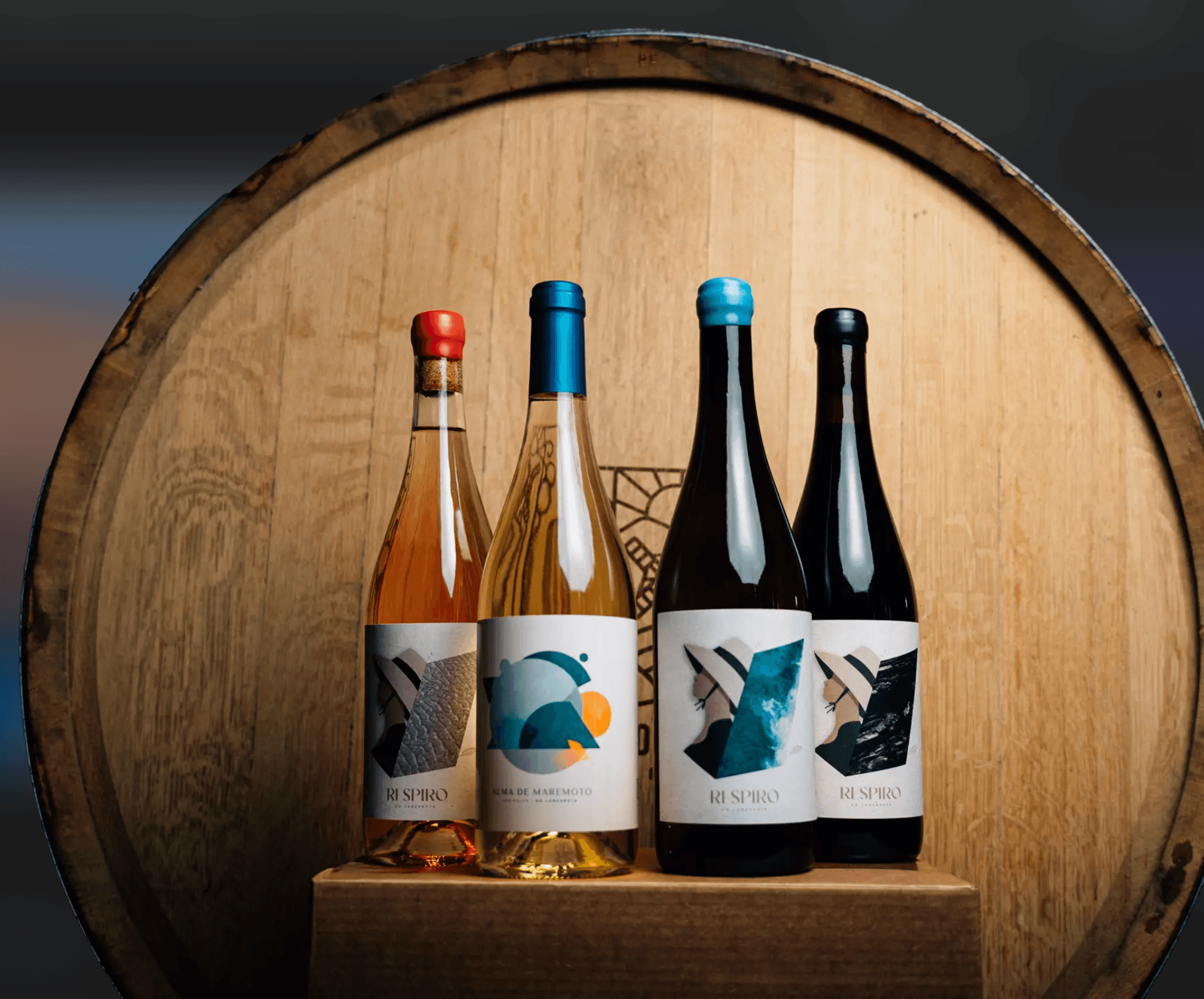 Bodega Olivina