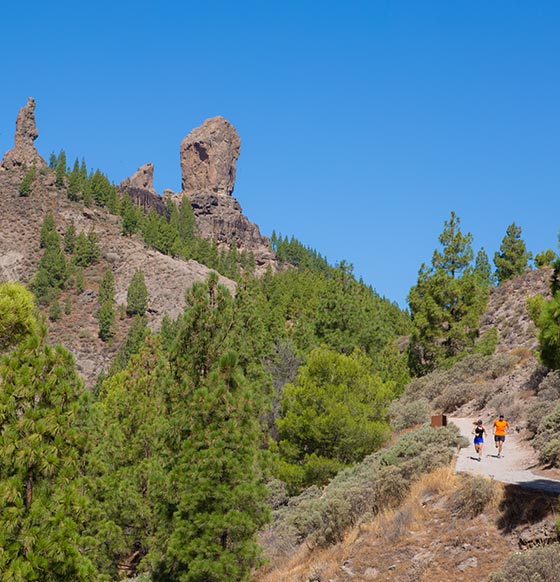 Fontanales - Garañón - listado