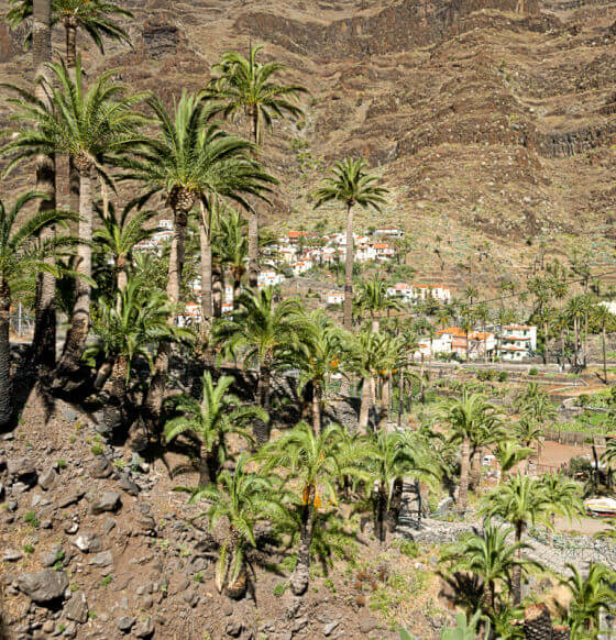 Sendero Cercado-Valle Gran Rey