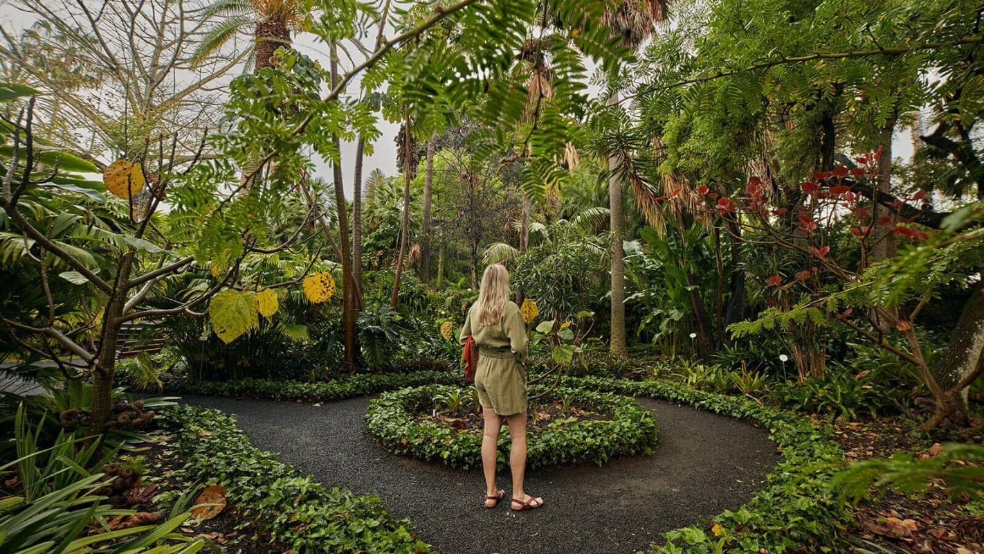 Giardino di acclimatazione di La Orotava (Tenerife)