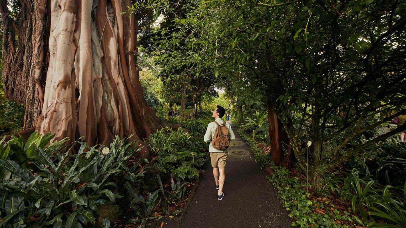 Giardino Botanico di Puerto de La Cruz, Tenerife.