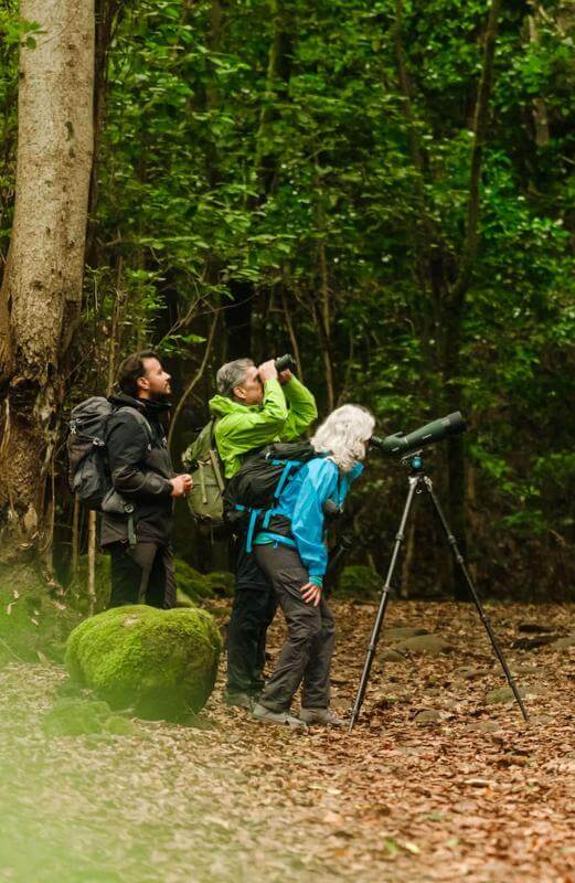 Gruppo di birdwatcher con telescopio ad Anaga.
