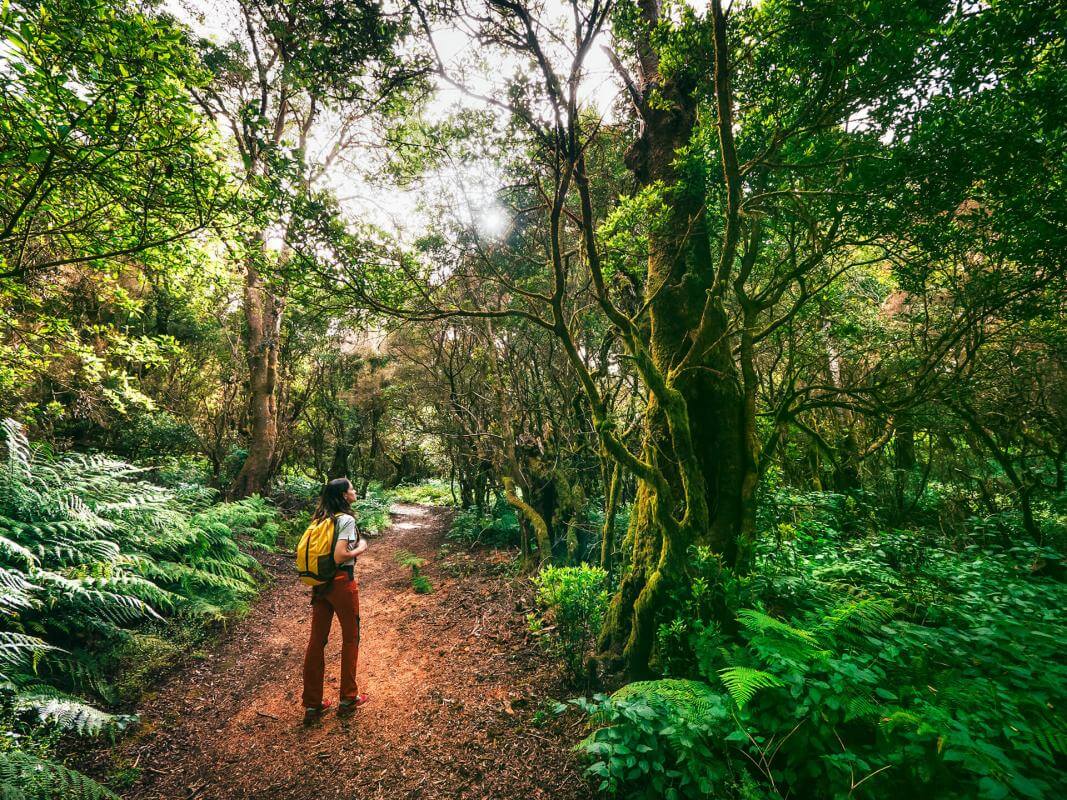 Reserva de Mencáfete Espacios naturales de El Hierro