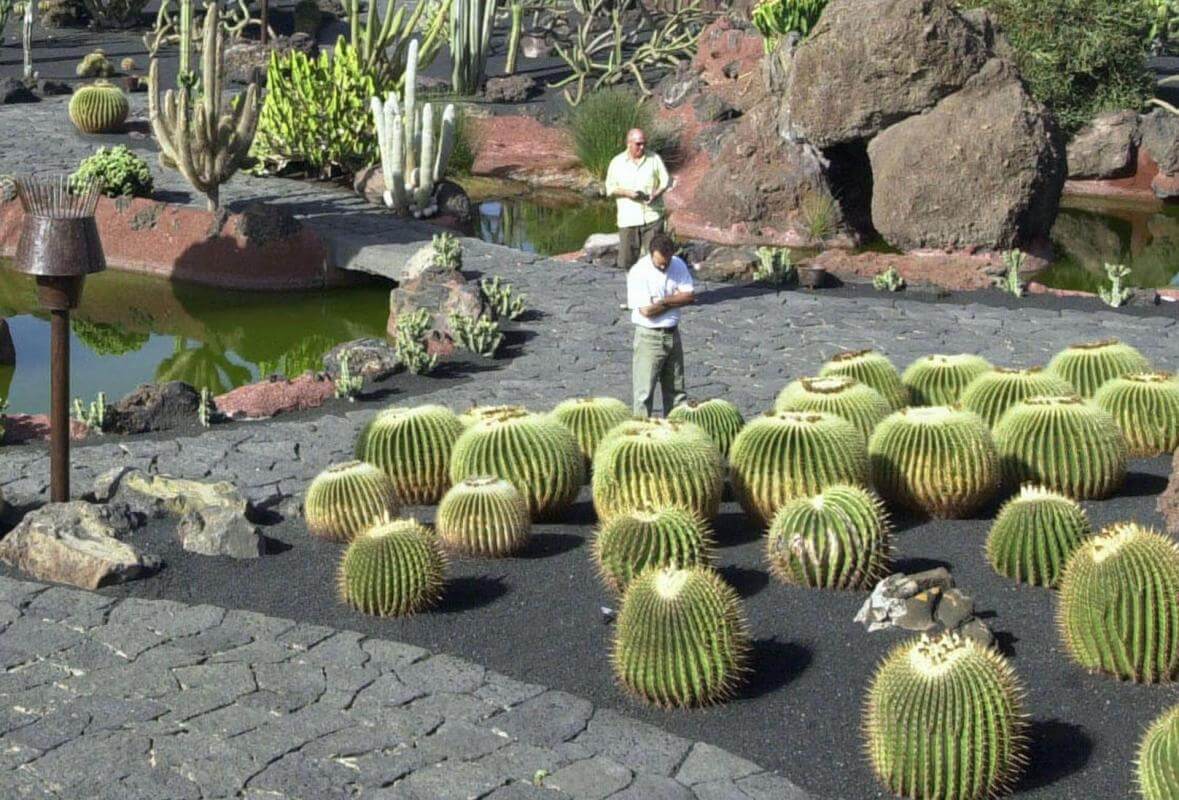 Visita a los Jameos del Agua y Jardín de Cactus - galeria3