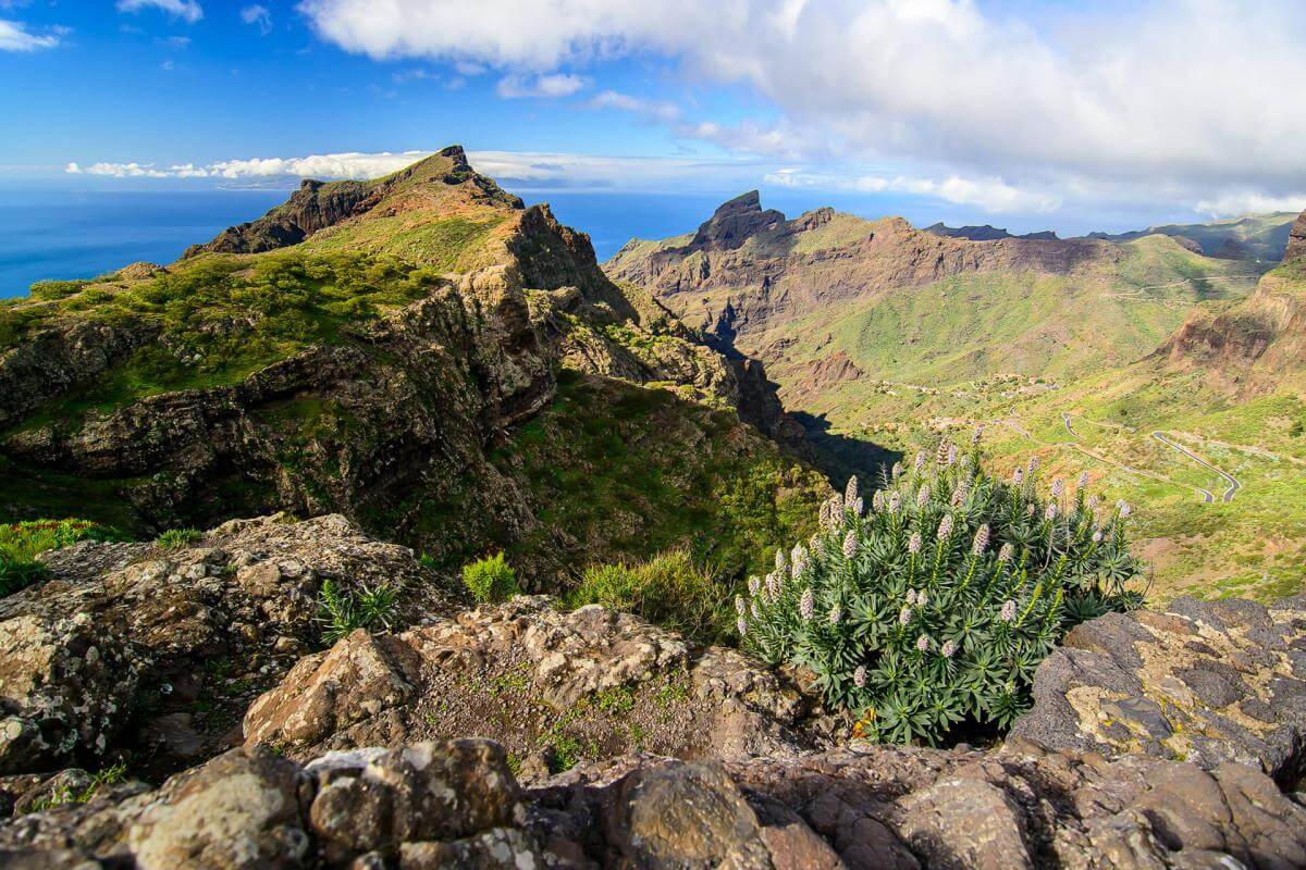 Mirador de Cherfe - Masca - galeria3