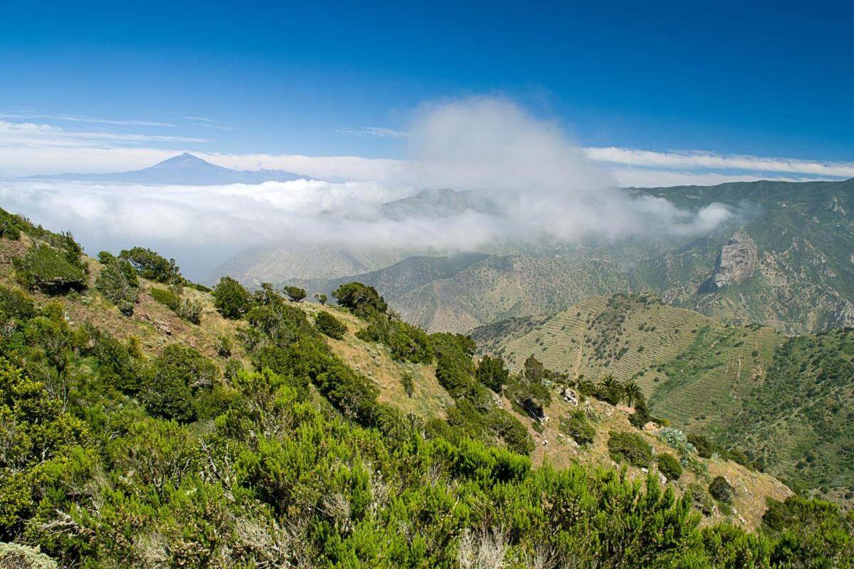 Ruta en coche por el norte de La Gomera - galeria5