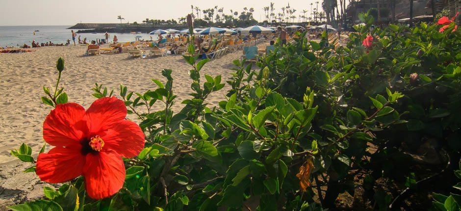 Anfi del Mar Spiaggia per bambini a Gran Canaria