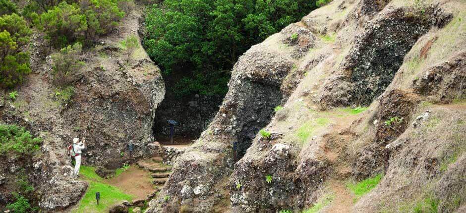 Albero Garoé, a El Hierro