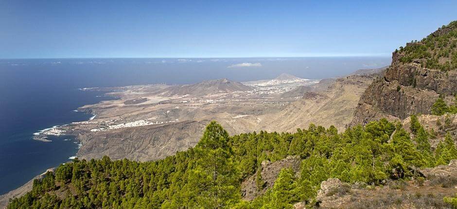 Tamadaba-Pendio de Faneque + Sentieri di Gran Canaria