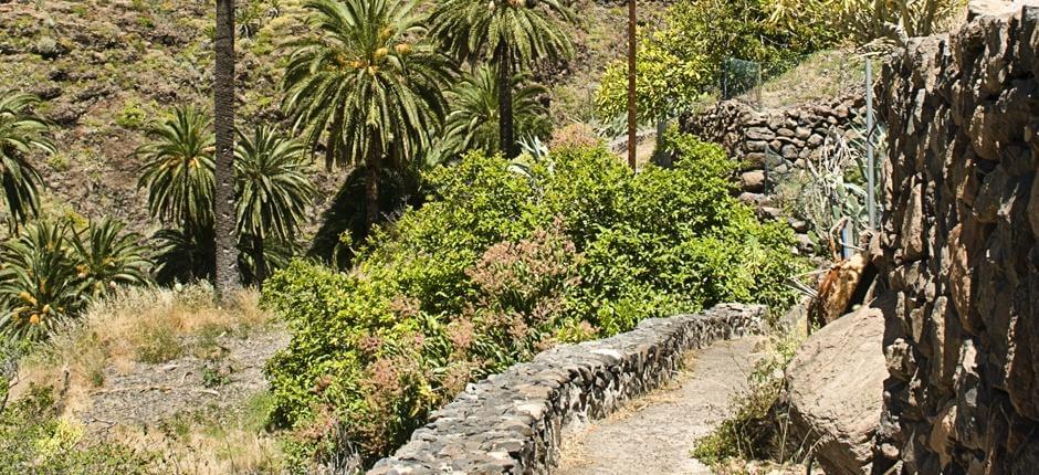 Playa Santiago-Benchijigua + Sentieri di La Gomera