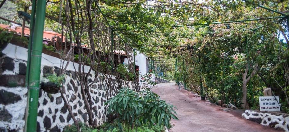 Cantine Los Berrazales + Cantine e caseifici di Gran Canaria