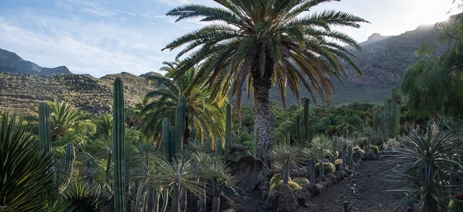 Cactualdea Park Musei e centri turistici di Gran Canaria