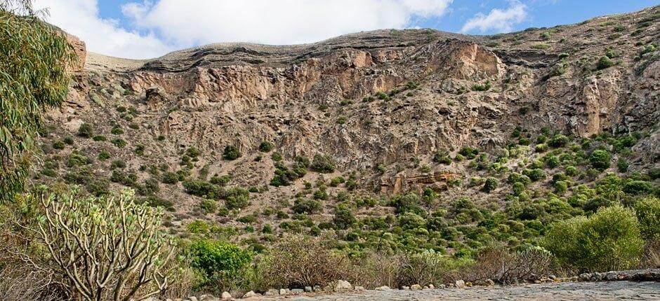 Caldera di Bandama + Sentieri di Gran Canaria