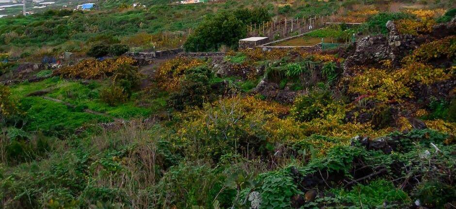 Los Llanillos Borghi di El Hierro