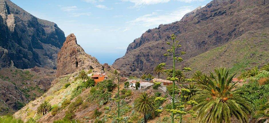 Masca Borghi di Tenerife