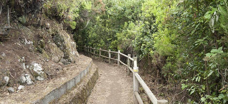 Cubo de la Galga + Sentieri di La Palma