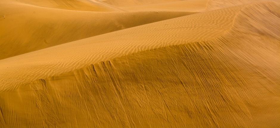 Reserva Natural Especial de las Dunas de Maspalomas, en Gran Canaria