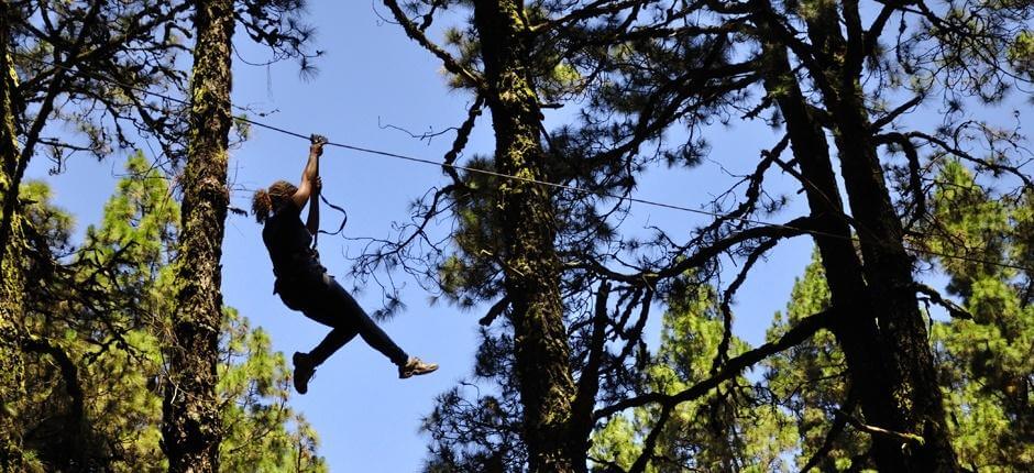 Forestal Park Parchi tematici a Tenerife 