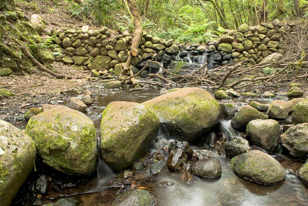 Sendero Contadero-El Cedro