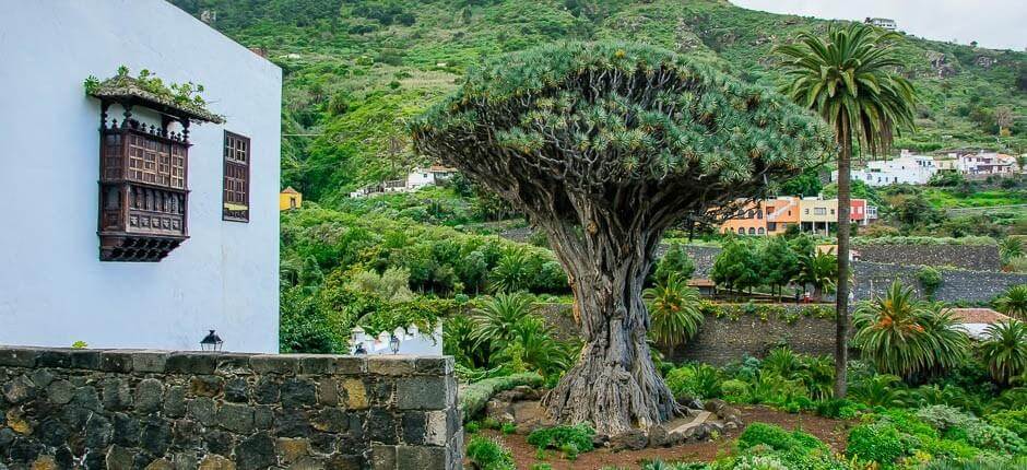 Casco histórico de Icod de los Vinos. Cascos históricos de Tenerife