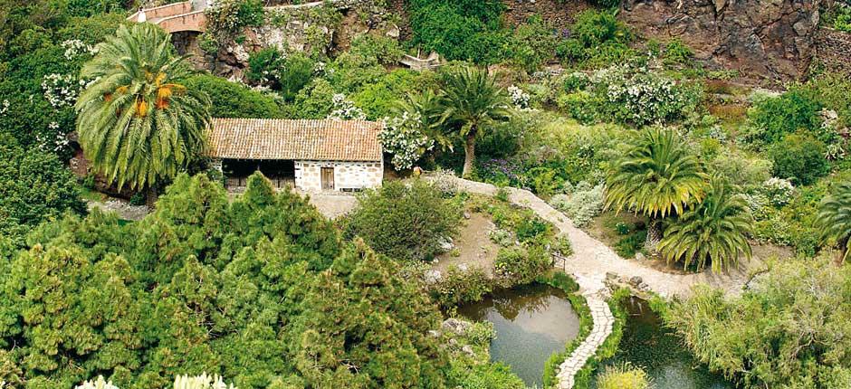 Jardín Botánico Viera y Clavijo Musei e attrazioni turistiche a Gran Canaria