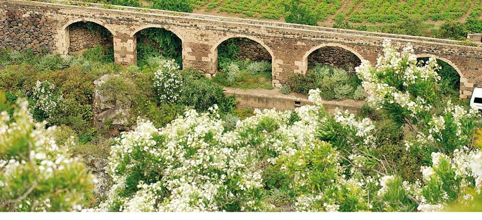 Jardín Botánico Viera y Clavijo Musei e attrazioni turistiche a Gran Canaria