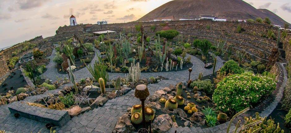 Jardín de Cactus Musei e attrazioni turistiche a Lanzarote