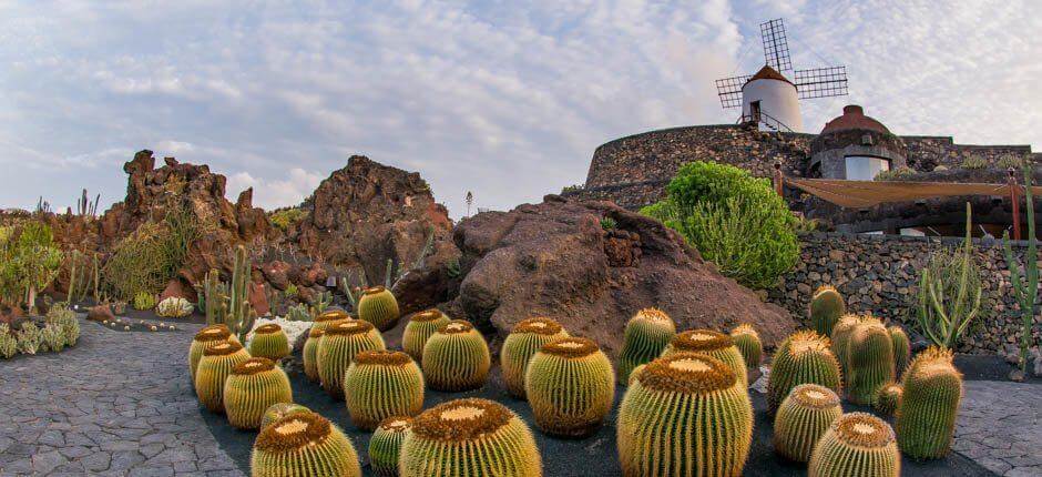 Jardín de Cactus Musei e attrazioni turistiche a Lanzarote