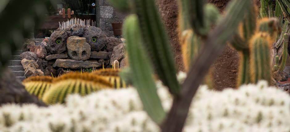Jardín de Cactus Musei e attrazioni turistiche a Lanzarote