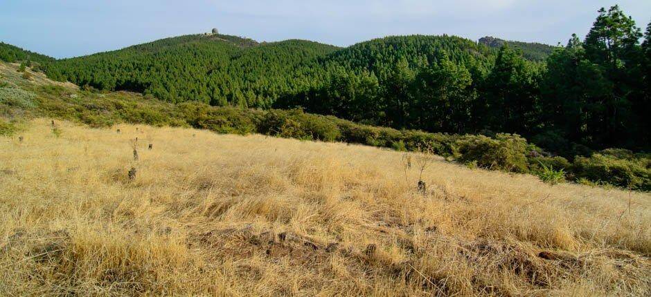 Llanos de Garañón  + Osservazione delle stelle a Gran Canaria