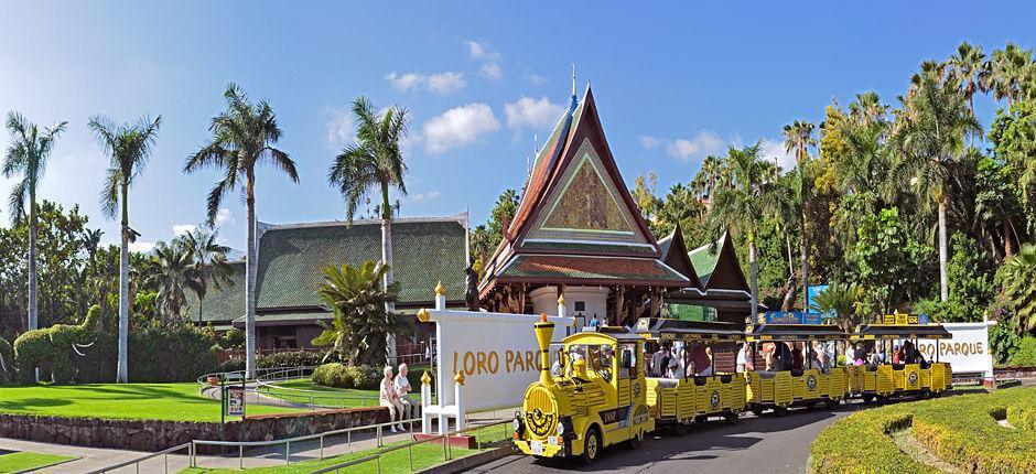 Loro Parque Zoo di Tenerife