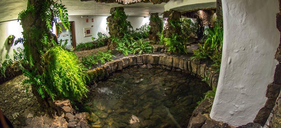 Jameos del Agua Musei e attrazioni turistiche a Lanzarote 