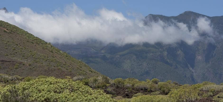 Malpaís de Güímar Espacios naturales de Tenerife
