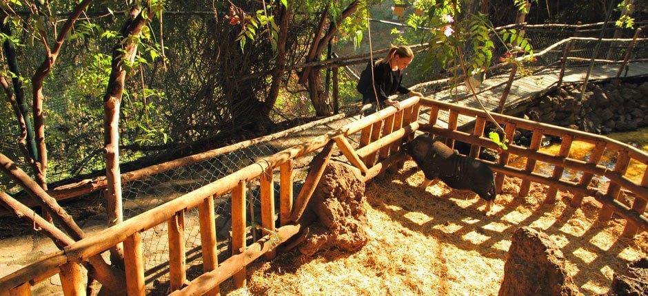 Maroparque Zoo di La Palma