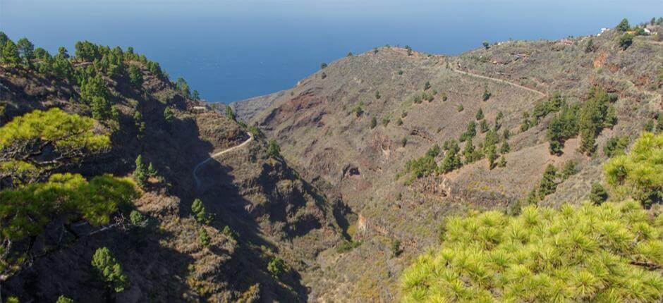 Mirador de Izcagua a La Palma