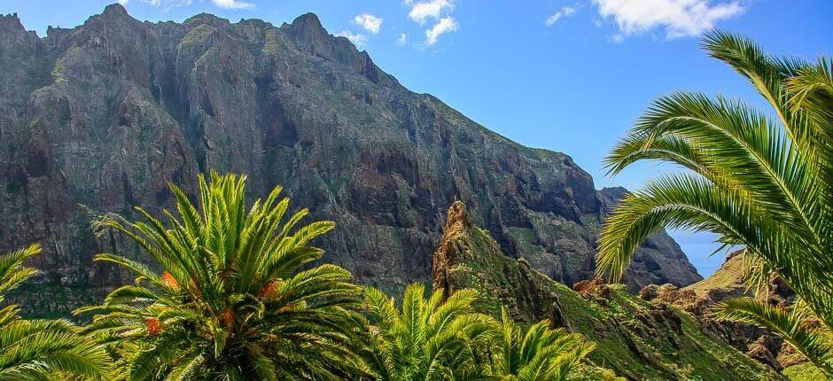 Masca + Osservazione delle stelle a Tenerife