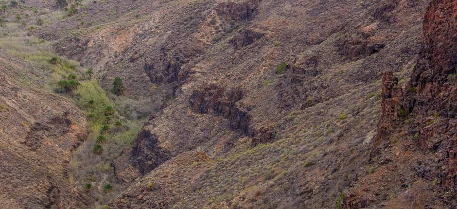 Belvedere della Degollada de las Yeguas Gran Canaria