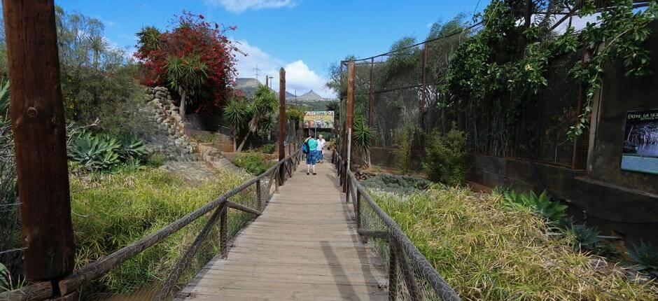 Monkey Park Tenerife Zoo di Tenerife