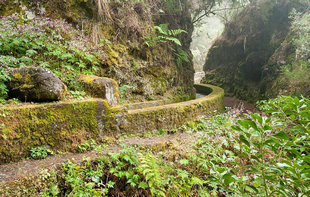 Marcos y Cordero. Senderos de La Palma