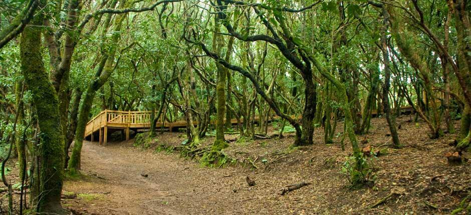 Parque Rural de Anaga, en Tenerife