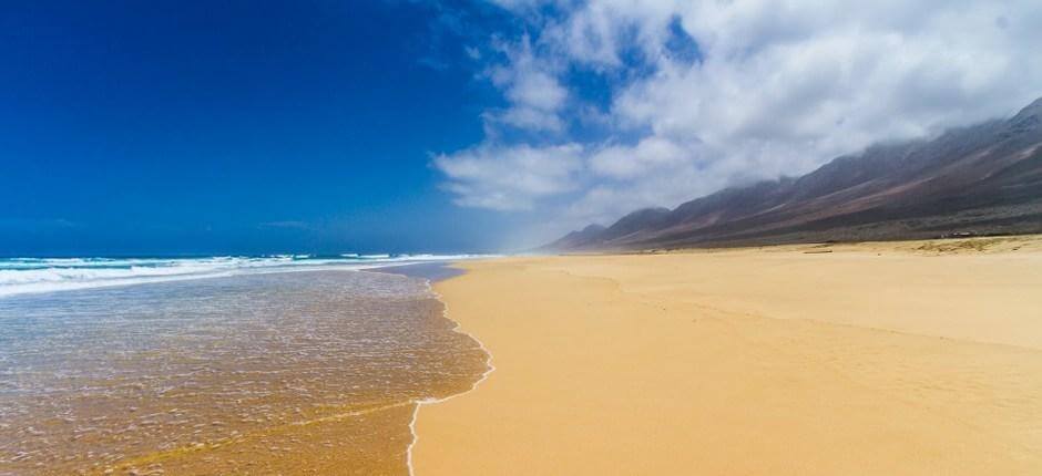 Spiaggia di Cofete + Spiagge incontaminate di Fuerteventura