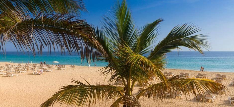 Spiagge di Morro Jable Spiagge popolari di Fuerteventura