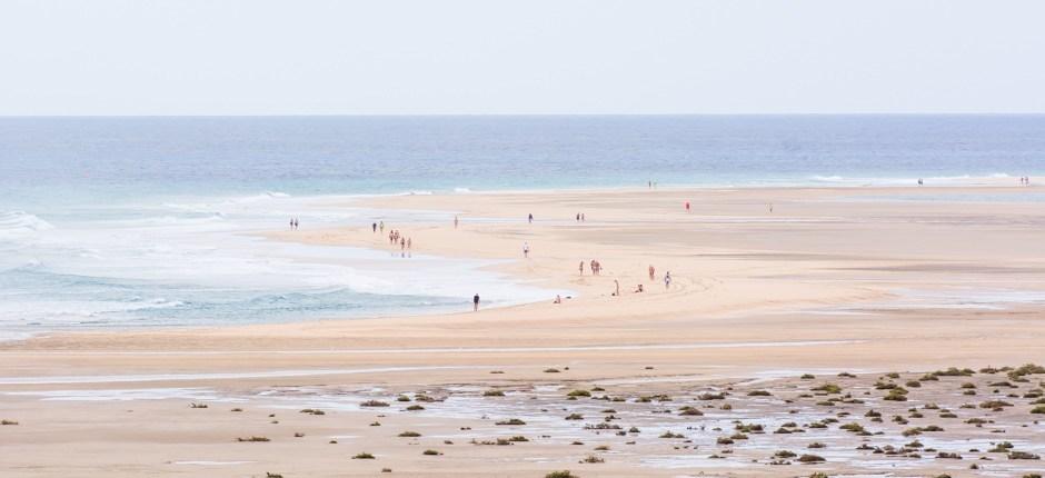 Spiaggia di Sotavento + Spiagge incontaminate di Fuerteventura