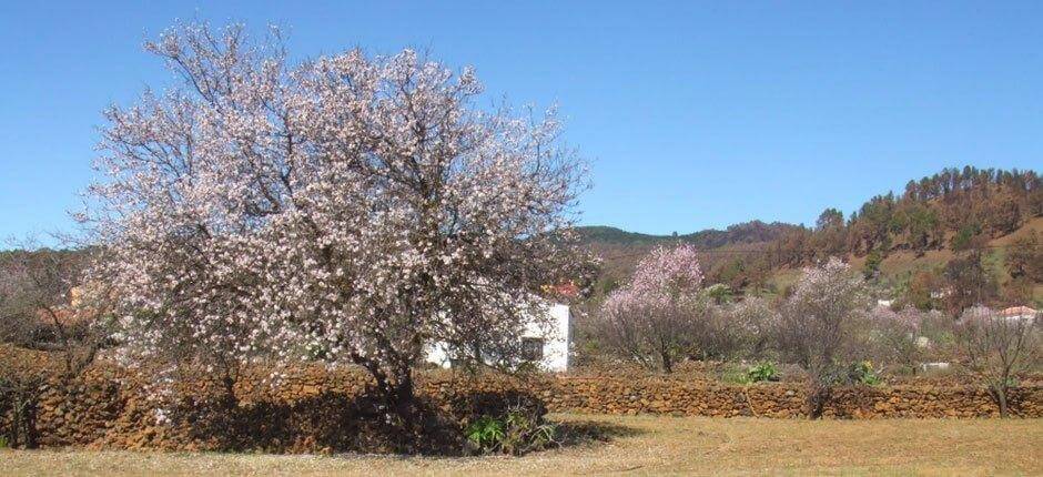 El Pinar Località incantevoli di El Hierro